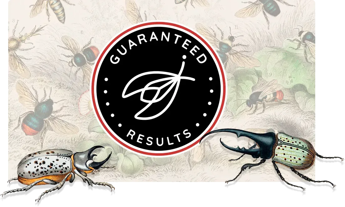 Guaranteed Results