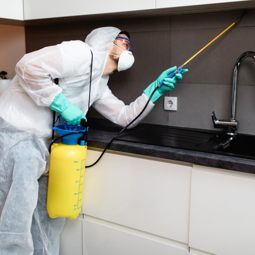 Eco-friendly pest control inspection and prevention process in Calgary